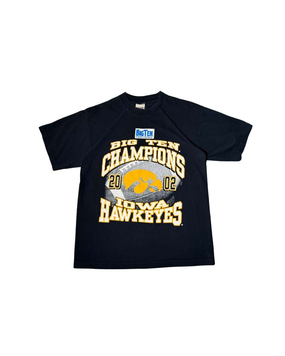 Vintage Iowa Hawkeyes 2002 Big Ten Champions
